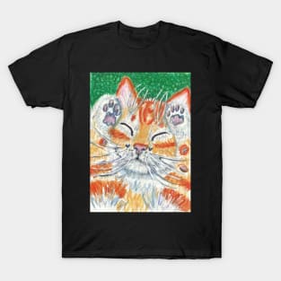 Happy cat orange ginger T-Shirt